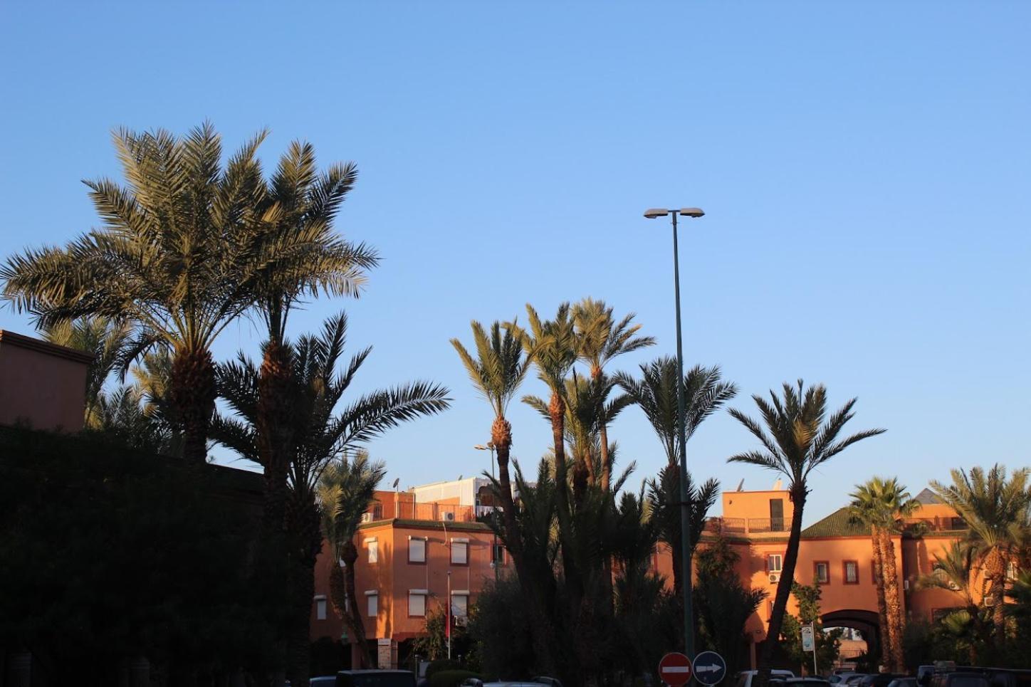 Riad Darnooz Marrakesh Ngoại thất bức ảnh